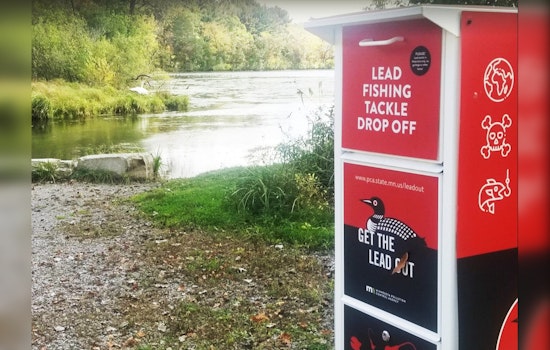 Ramsey County Aims to Protect Swans with Strategic Battle Against Lead Fishing Tackle at Sucker Lake
