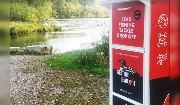 Ramsey County Aims to Protect Swans with Strategic Battle Against Lead Fishing Tackle at Sucker Lake