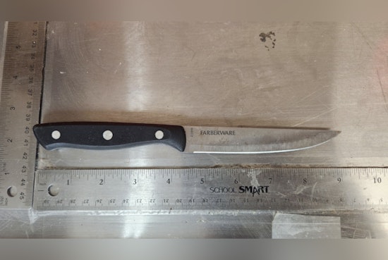 Roommate Arrested for Alleged Stabbing in Almena Township as Victim Hospitalized