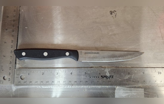 Roommate Arrested for Alleged Stabbing in Almena Township as Victim Hospitalized