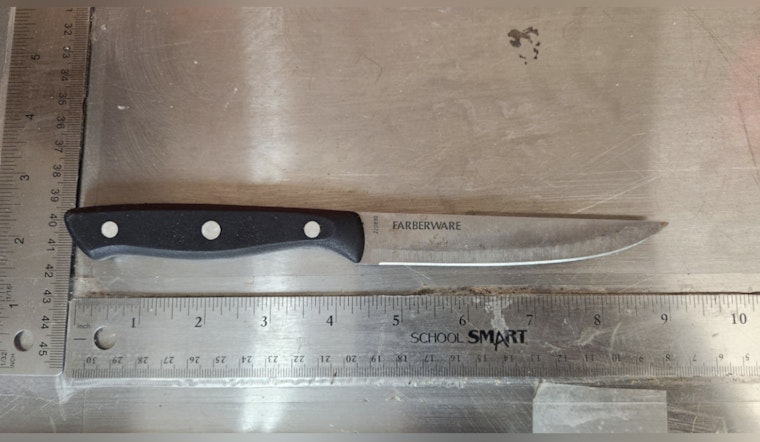 Roommate Arrested for Alleged Stabbing in Almena Township as Victim Hospitalized