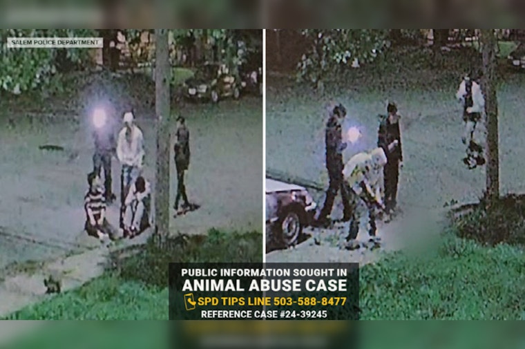 Salem Teens Charged with Aggravated Animal Abuse in Fatal Shooting of Cat