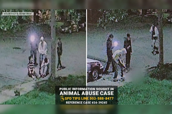 Salem Teens Charged with Aggravated Animal Abuse in Fatal Shooting of Cat