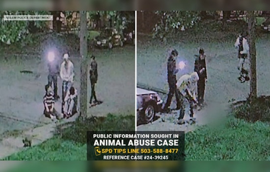 Salem Teens Charged with Aggravated Animal Abuse in Fatal Shooting of Cat