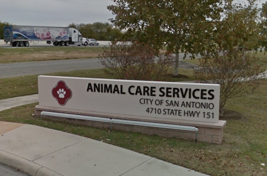 San Antonio Animal Care Services Offers Pet Safety Tips for Fourth of July Celebrations