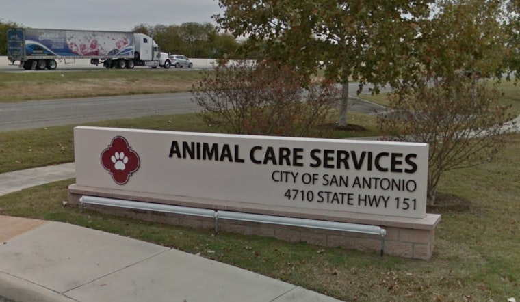 San Antonio Animal Care Services Offers Pet Safety Tips for Fourth of July Celebrations