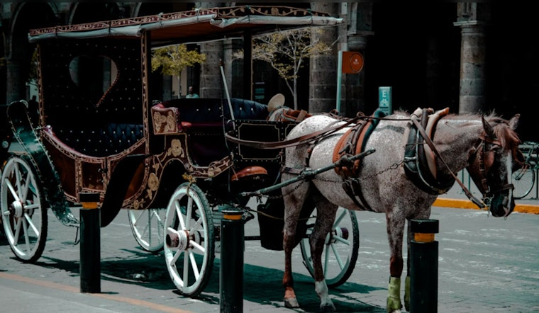 San Antonio Board Blocks Yellow Rose & H.R.H. Carriage Company's Plans Amid Horse-Drawn Carriage Debate
