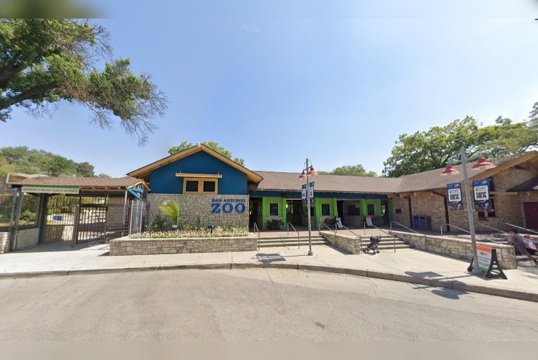 San Antonio Zoo Honors Educators with Free Admission in June, Discounts for Guests