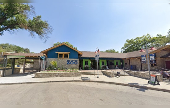 San Antonio Zoo Honors Educators with Free Admission in June, Discounts for Guests