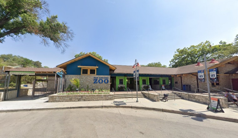 San Antonio Zoo Honors Educators with Free Admission in June, Discounts for Guests