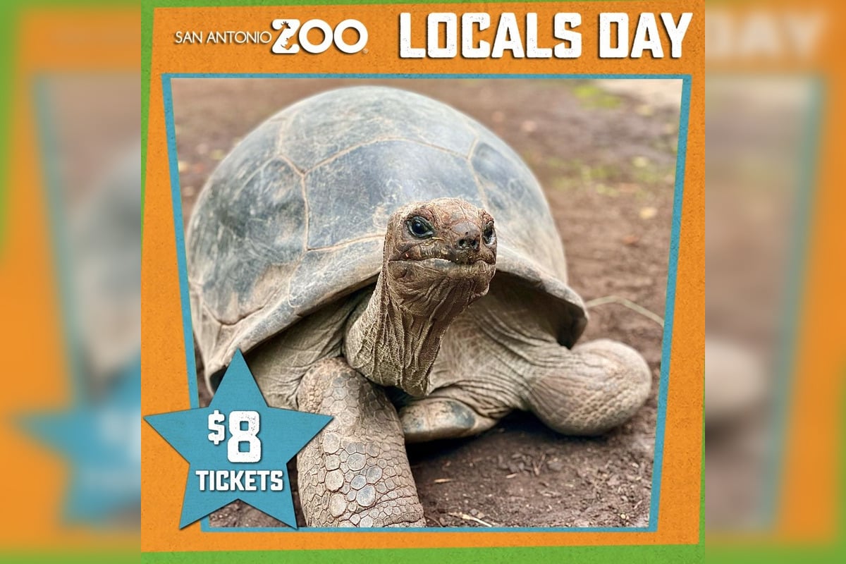 San Antonio Zoo Offers Special $8 Admission for Bexar County Residents