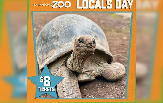San Antonio Zoo Offers Special $8 Admission for Bexar County Residents on Select June Days