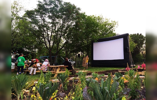 San Antonio's Summer Cinema Extravaganza, Outdoor Movies Cool Down Hot Texas Nights