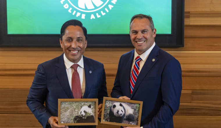 San Diego and San Francisco Mayors Secure Giant Panda Arrivals, Symbolizing US-China Conservation and Cultural Ties