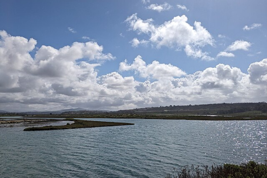San Dieguito Lagoon's $87 Million Restoration Approaches Finish Line Near San Diego