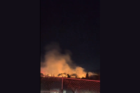 VIDEO: San Francisco Firefighters Contain Wind-Driven Blaze in Bayview, Saving Local Structure from Extensive Damage