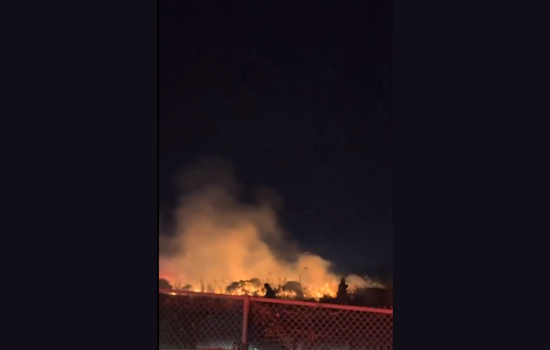 VIDEO: San Francisco Firefighters Contain Wind-Driven Blaze in Bayview, Saving Local Structure from Extensive Damage
