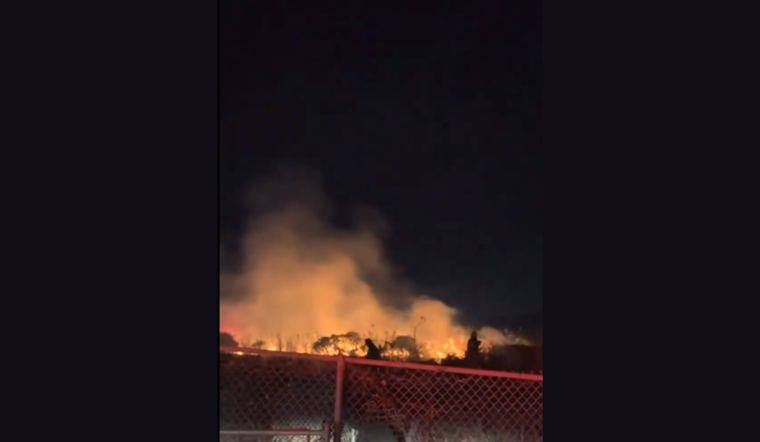 VIDEO: San Francisco Firefighters Contain Wind-Driven Blaze in Bayview, Saving Local Structure from Extensive Damage
