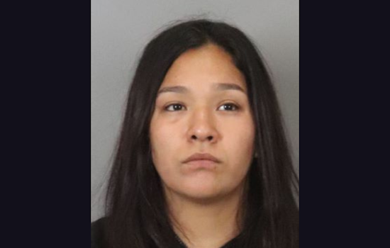 San Jose Resident Arrested on Murder Charges Following 17th Homicide Near Roosevelt Park