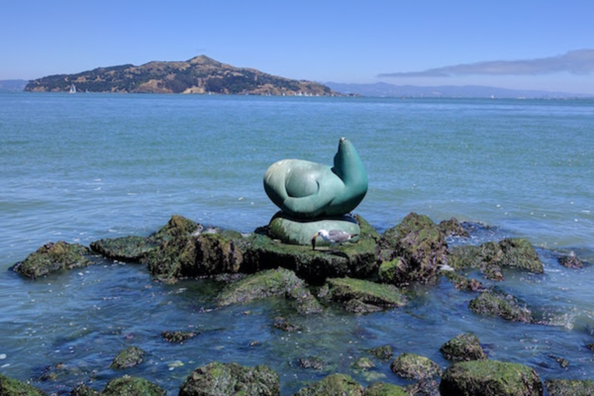 Sausalito's Iconic Sea Lion Sculpture Set for Triumphant Return to