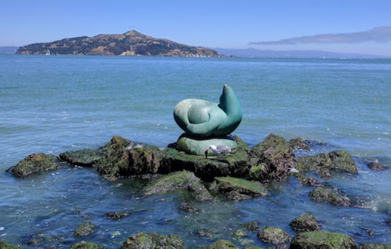 Sausalito's Iconic Sea Lion Sculpture Set for Triumphant Return to Waterfront After Restoration