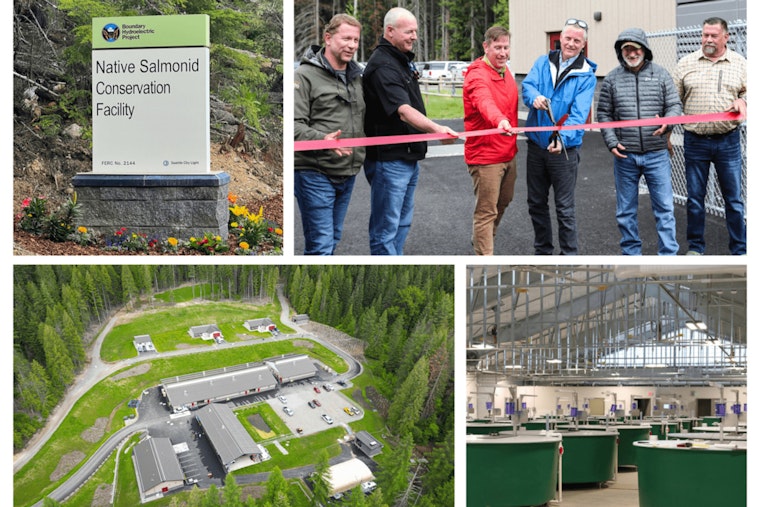 Seattle City Light Unveils $27 Million Native Salmonid Conservation Facility in Usk to Bolster Fish Populations