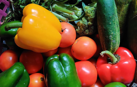 Seattle Launches Food Action Plan to Foster Equity, Sustainability, and Healthier Communities