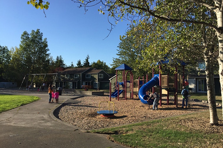 Seattle Unveils Pathways Park with Emphasis on Inclusion and Accessibility