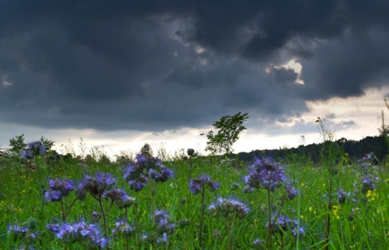Seattle Weather Forecast, Sunny Intervals and Mild Temperatures on the Horizon