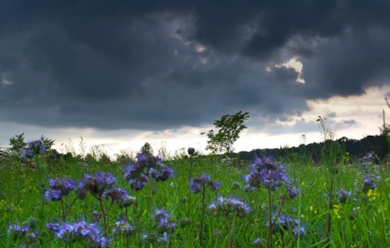 Seattle Weather Forecast, Sunny Intervals and Mild Temperatures on the Horizon