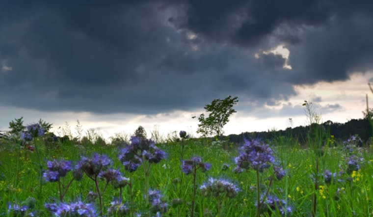 Seattle Weather Forecast, Sunny Intervals and Mild Temperatures on the Horizon