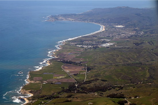 Second Humpback Whale Carcass of the Year Washes Ashore Near Half Moon Bay