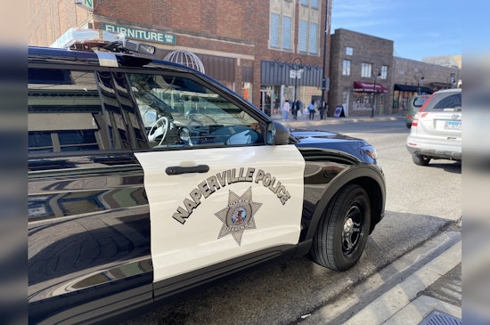 Serious Vehicle Crash in Naperville Injures Woman, Claims Life of Pet Dog