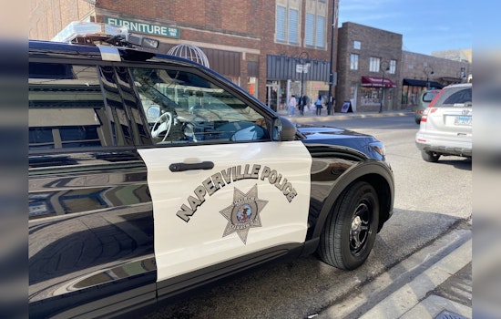 Serious Vehicle Crash in Naperville Injures Woman, Claims Life of Pet Dog