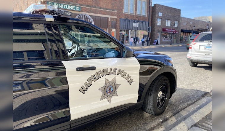Serious Vehicle Crash in Naperville Injures Woman, Claims Life of Pet Dog