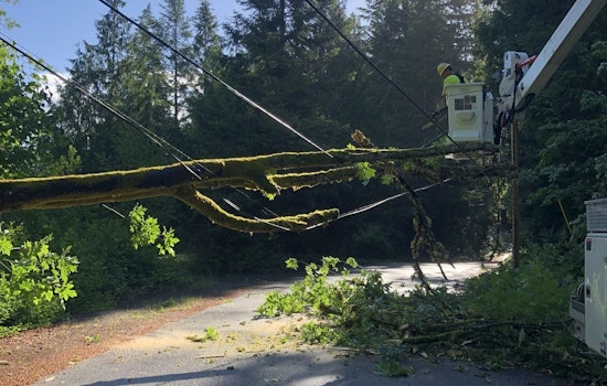 Severe Weather Hits Western Washington, Leaving Thousands Without Power and Causing Chaos on Seattle-Tacoma Commute
