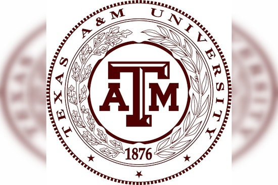 Showdown in Omaha: Tennessee and Texas A&M Battle for Maiden Title in College World Series Finale