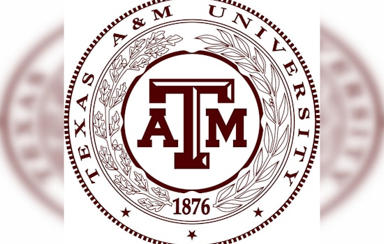 Showdown in Omaha: Tennessee and Texas A&M Battle for Maiden Title in College World Series Finale