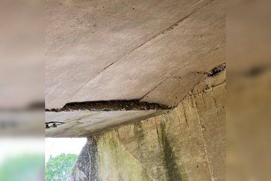 Spring Hill's Port Royal Road Reopens After Bridge Safety Concerns Deemed Superficial