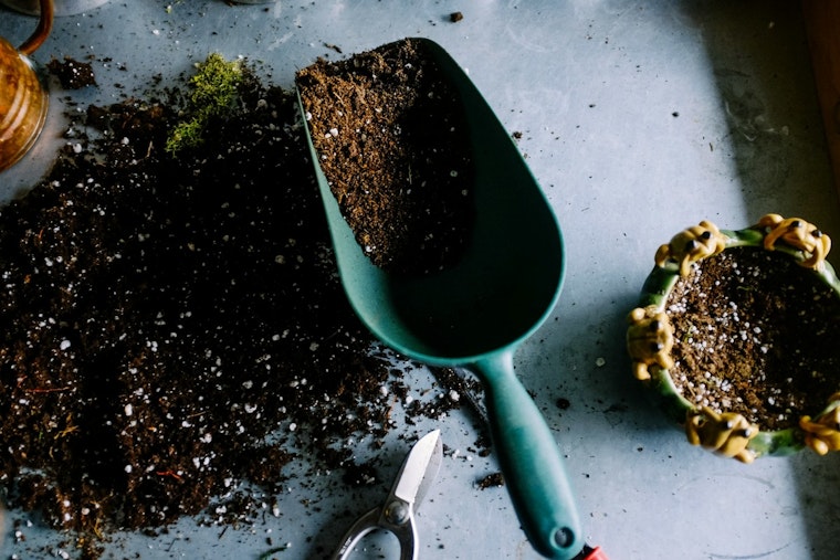 St. Louis Park's Gardening Swap Cancelled Due to Storm Forecast, Organizers Prioritize Safety