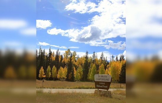 Stage 2 Fire Restrictions Imposed on Kaibab National Forest Amid Rising Wildfire Threats Near Williams