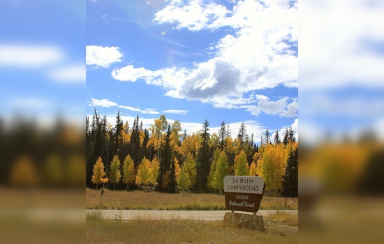 Stage 2 Fire Restrictions Imposed on Kaibab National Forest Amid Rising Wildfire Threats Near Williams