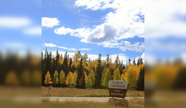 Stage 2 Fire Restrictions Imposed on Kaibab National Forest Amid Rising Wildfire Threats Near Williams