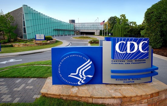 "Stand & Witness: Art in the Time of COVID-19" - Atlanta's CDC Museum Showcases Reflective Pandemic Exhibit