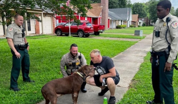 Stolen Dog Hershey Safely Returned After Memphis Carjacking, Police Continue Search for Suspects