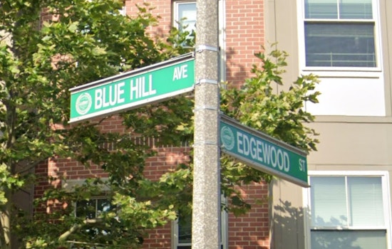 Suspect Apprehended for Multiple Break-Ins in Roxbury and Dorchester, Boston Police Report