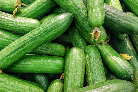 Suspected Cucumber Link to Multi-State Salmonella Outbreak Prompts Recall, 162 People Infected Across 25 States