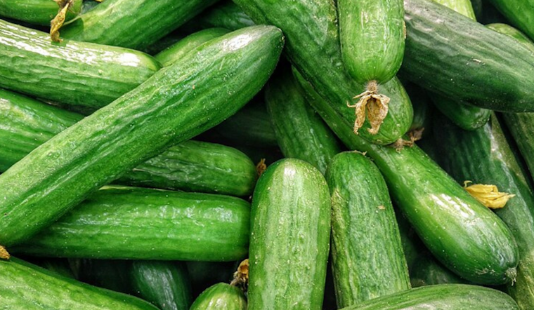 Suspected Cucumber Link to Multi-State Salmonella Outbreak Prompts Recall, 162 People Infected Across 25 States