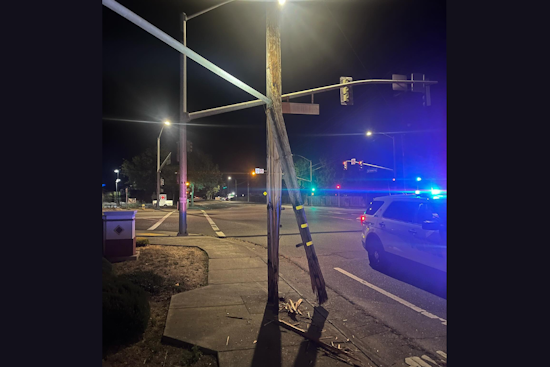 Suspected Drunk Driver Arrested After Striking Power Pole in Windsor
