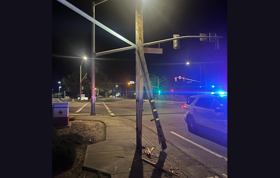Suspected Drunk Driver Arrested After Striking Power Pole in Windsor
